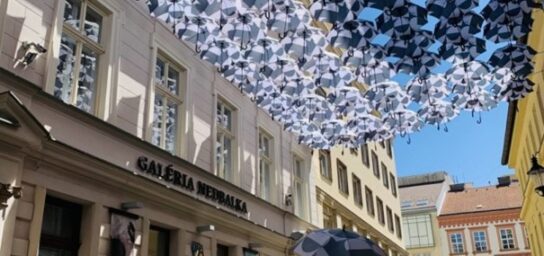 Bratislava with a touch of art tour